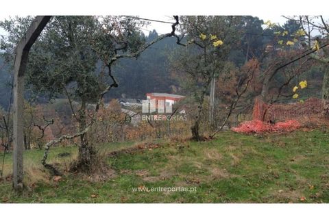 Tomt i Cinfaes, Viseu, Cinfaes - € 40 000 | Ref: MC07981 - foto 18