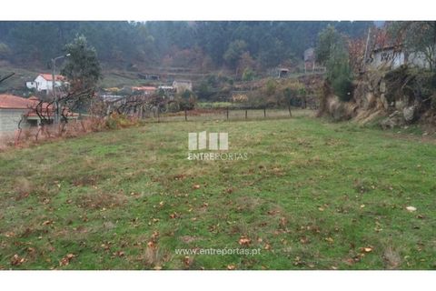 Tomt i Cinfaes, Viseu, Cinfaes - € 40 000 | Ref: MC07981 - foto 19