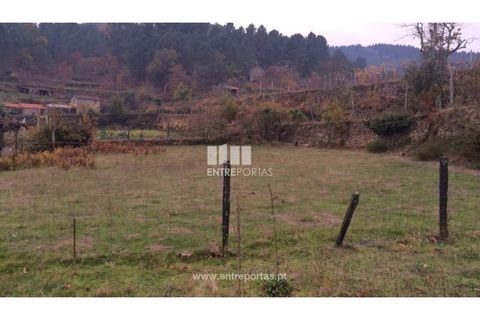 Tomt i Cinfaes, Viseu, Cinfaes - € 40 000 | Ref: MC07981 - foto 20