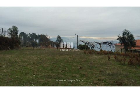 Tomt i Cinfaes, Viseu, Cinfaes - € 40 000 | Ref: MC07981 - foto 21
