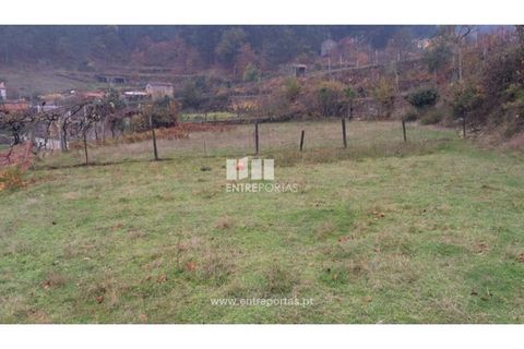 Tomt i Cinfaes, Viseu, Cinfaes - € 40 000 | Ref: MC07981 - foto 22