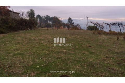 Tomt i Cinfaes, Viseu, Cinfaes - € 40 000 | Ref: MC07981 - foto 23