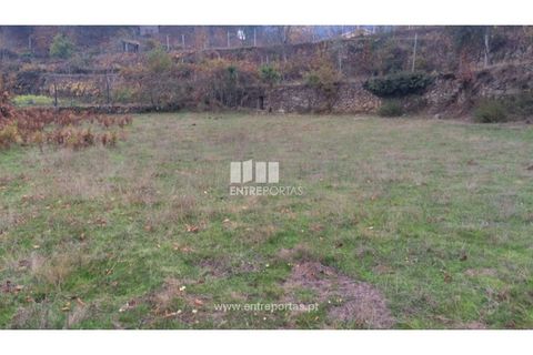 Tomt i Cinfaes, Viseu, Cinfaes - € 40 000 | Ref: MC07981 - foto 24