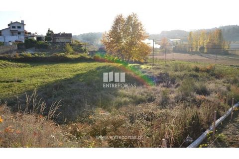Helårsgrund i Amarante, Porto, Amarante - € 35.000 | Ref: MC07949 - foto 4