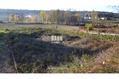 Helårsgrund i Amarante, Porto, Amarante - € 35.000 | Ref: MC07949 - foto 5
