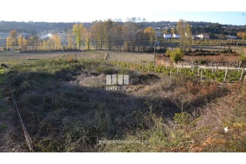 Helårsgrund i Amarante, Porto, Amarante - € 35.000 | Ref: MC07949 - foto 8