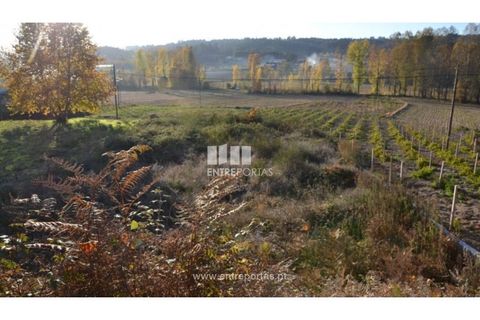 Helårsgrund i Amarante, Porto, Amarante - € 35.000 | Ref: MC07949 - foto 9