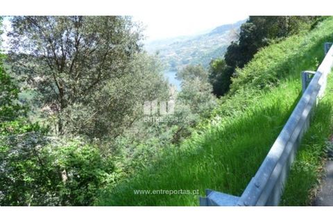 Helårsgrund i Gestaco, Porto, Gestaco - € 200.000 | Ref: MC07972 - foto 7
