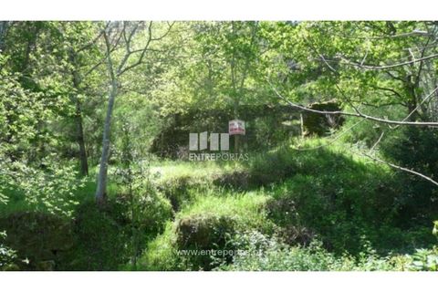 Helårsgrund i Gestaco, Porto, Gestaco - € 200.000 | Ref: MC07972 - foto 8
