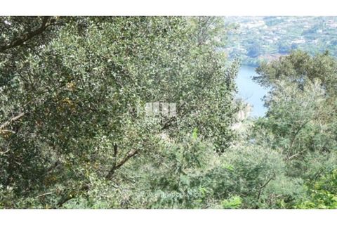 Helårsgrund i Gestaco, Porto, Gestaco - € 200.000 | Ref: MC07972 - foto 9