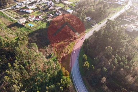 Terra a Ganfei, Viana do Castelo, Ganfei - € 215.000 | Ref: TER_149 - foto 3