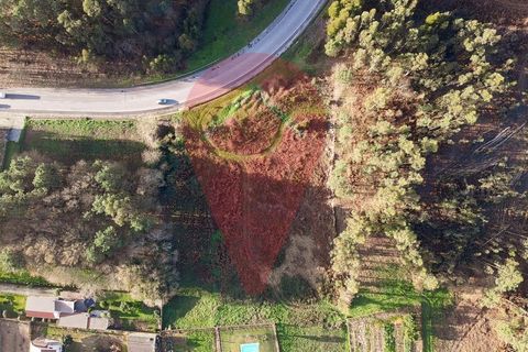 Terra a Ganfei, Viana do Castelo, Ganfei - € 215.000 | Ref: TER_149 - foto 2