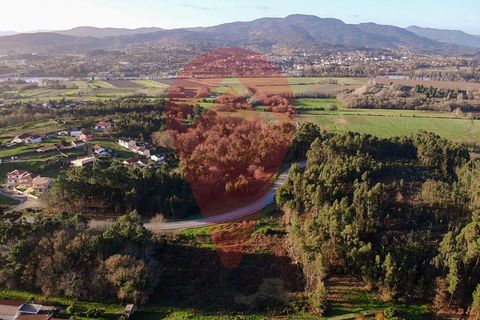 Terra a Ganfei, Viana do Castelo, Ganfei - € 215.000 | Ref: TER_149 - foto 4