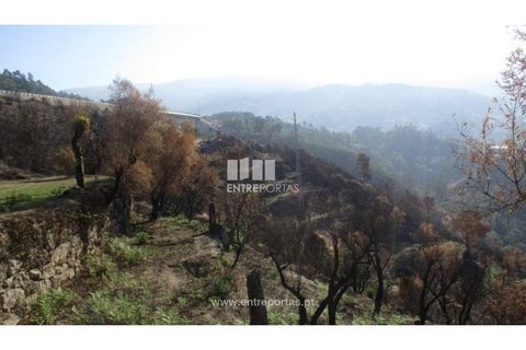 Grond in Amarante, Porto, Amarante - € 30.000 | Ref: MC08102 - foto 1