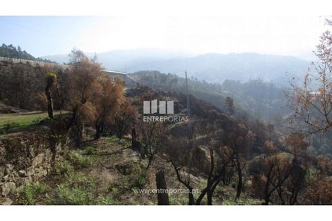 Grond in Amarante, Porto, Amarante - € 30.000 | Ref: MC08102 - foto 6