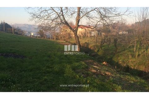 Tomt i Cinfaes, Viseu, Cinfaes - € 85 000 | Ref: MC08117 - foto 4