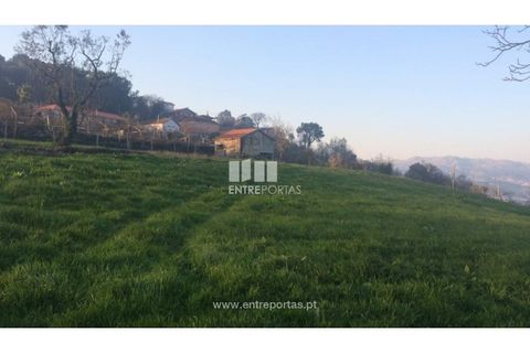 Tomt i Cinfaes, Viseu, Cinfaes - € 85 000 | Ref: MC08117 - foto 5
