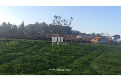 Tomt i Cinfaes, Viseu, Cinfaes - € 85 000 | Ref: MC08117 - foto 6