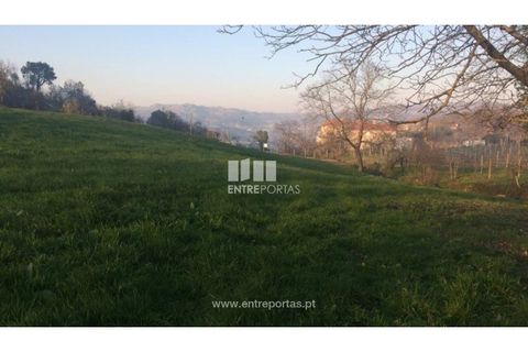 Tomt i Cinfaes, Viseu, Cinfaes - € 85 000 | Ref: MC08117 - foto 7