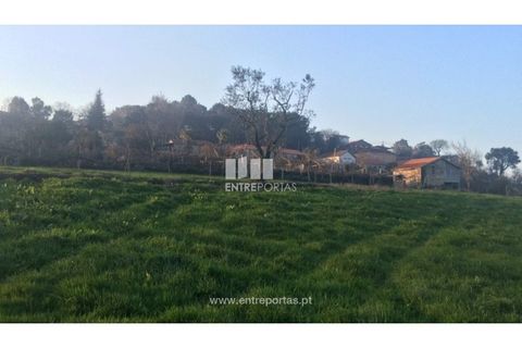 Tomt i Cinfaes, Viseu, Cinfaes - € 85 000 | Ref: MC08117 - foto 8
