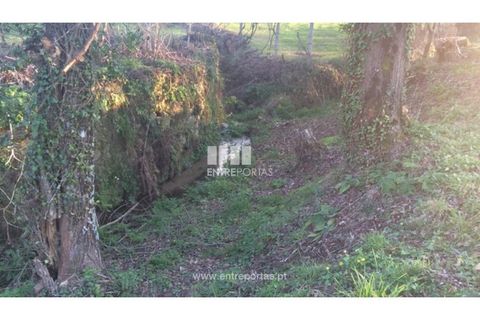 Tomt i Cinfaes, Viseu, Cinfaes - € 85 000 | Ref: MC08117 - foto 9