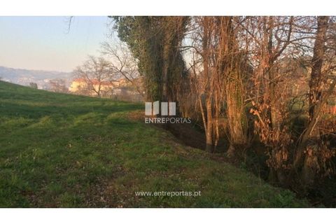 Tomt i Cinfaes, Viseu, Cinfaes - € 85 000 | Ref: MC08117 - foto 10
