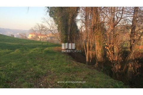Tomt i Cinfaes, Viseu, Cinfaes - € 85 000 | Ref: MC08117 - foto 13