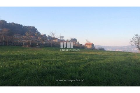 Tomt i Cinfaes, Viseu, Cinfaes - € 85 000 | Ref: MC08117 - foto 15