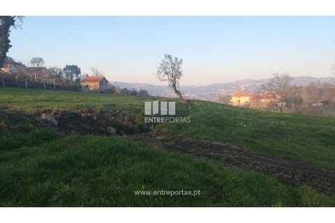 Tomt i Cinfaes, Viseu, Cinfaes - € 85 000 | Ref: MC08117 - foto 16