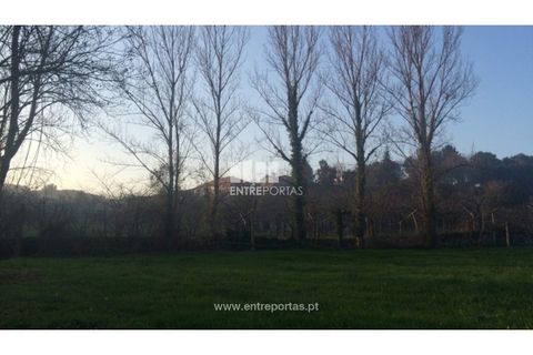 Tomt i Cinfaes, Viseu, Cinfaes - € 85 000 | Ref: MC08117 - foto 17
