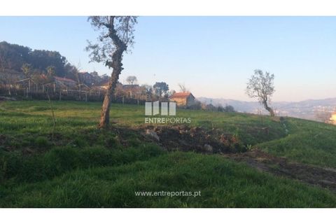 Tomt i Cinfaes, Viseu, Cinfaes - € 85 000 | Ref: MC08117 - foto 18
