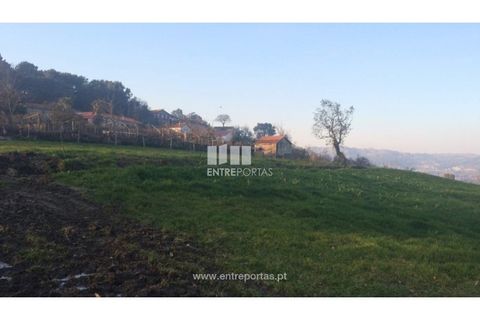 Tomt i Cinfaes, Viseu, Cinfaes - € 85 000 | Ref: MC08117 - foto 19