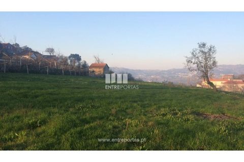 Tomt i Cinfaes, Viseu, Cinfaes - € 85 000 | Ref: MC08117 - foto 21