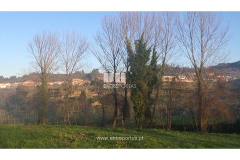 Tomt i Cinfaes, Viseu, Cinfaes - € 85 000 | Ref: MC08117 - foto 22