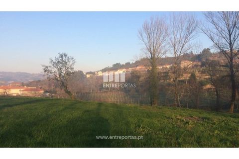 Tomt i Cinfaes, Viseu, Cinfaes - € 85 000 | Ref: MC08117 - foto 25