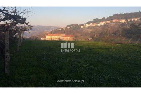 Tomt i Cinfaes, Viseu, Cinfaes - € 85 000 | Ref: MC08117 - foto 31