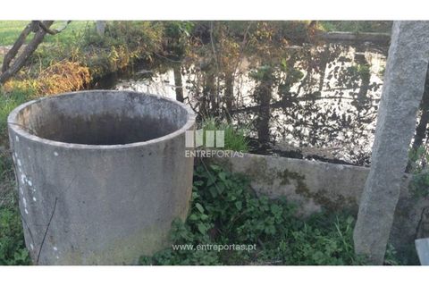 Tomt i Cinfaes, Viseu, Cinfaes - € 85 000 | Ref: MC08117 - foto 32