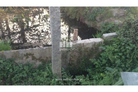 Tomt i Cinfaes, Viseu, Cinfaes - € 85 000 | Ref: MC08117 - foto 33