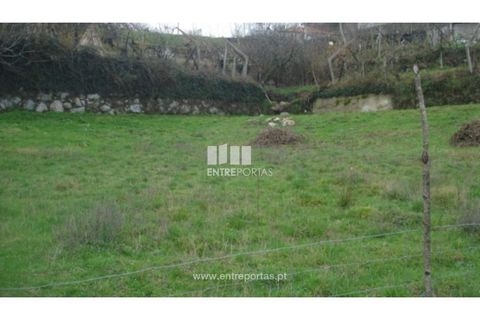 Helårsgrund i Gestaco, Porto, Gestaco - € 30.000 | Ref: MC08097 - foto 6