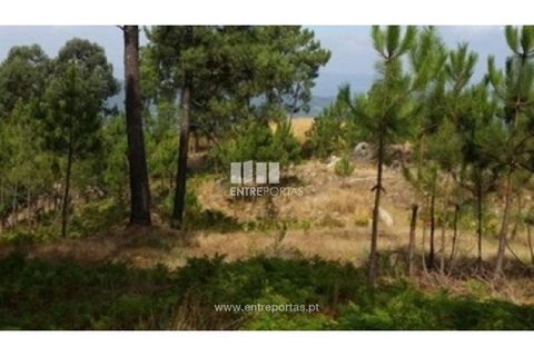 Helårsgrund i Ancede e Ribadouro, Porto, Ancede e Ribadouro - € 37.500 | Ref: MC08113 - foto 1