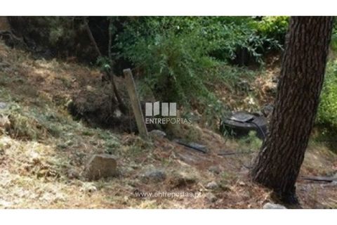 Helårsgrund i Ancede e Ribadouro, Porto, Ancede e Ribadouro - € 37.500 | Ref: MC08113 - foto 5