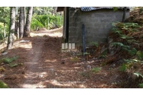 Helårsgrund i Ancede e Ribadouro, Porto, Ancede e Ribadouro - € 37.500 | Ref: MC08113 - foto 6