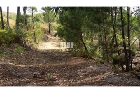 Helårsgrund i Ancede e Ribadouro, Porto, Ancede e Ribadouro - € 37.500 | Ref: MC08113 - foto 8