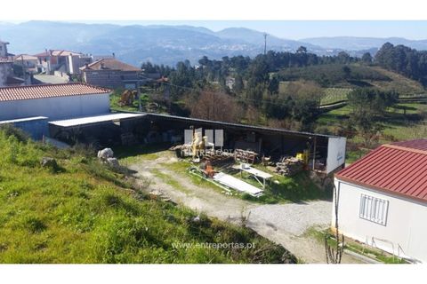 Tomt i Ancede e Ribadouro, Porto, Ancede e Ribadouro - € 30 000 | Ref: MC08091 - foto 15