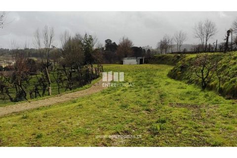Helårsgrund i Croca, Porto, Croca - € 45.500 | Ref: MC08140 - foto 6