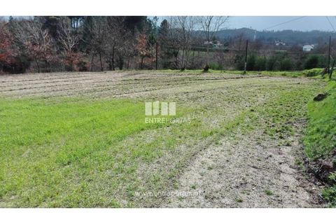 Helårsgrund i Croca, Porto, Croca - € 45.500 | Ref: MC08140 - foto 8