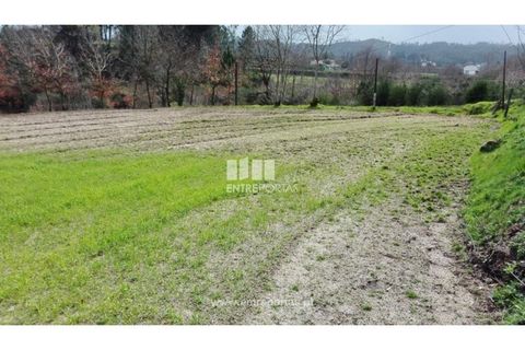 Helårsgrund i Croca, Porto, Croca - € 45.500 | Ref: MC08140 - foto 14