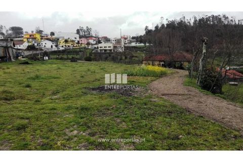 Helårsgrund i Croca, Porto, Croca - € 45.500 | Ref: MC08140 - foto 19