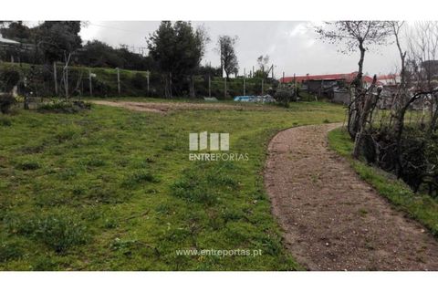 Helårsgrund i Croca, Porto, Croca - € 45.500 | Ref: MC08140 - foto 22