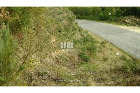 Helårsgrund i Banho e Carvalhosa, Porto, Banho e Carvalhosa - € 51.000 | Ref: MC08216 - foto 1